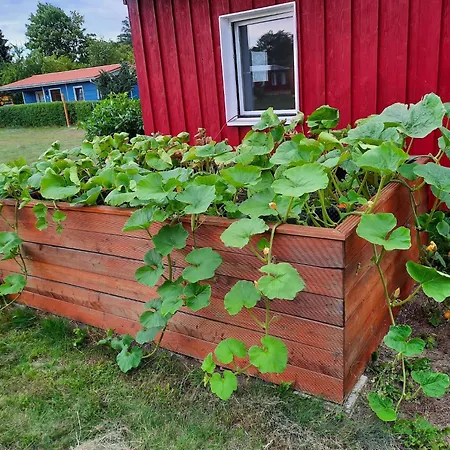 Am Vilzsee, Mirow Diemitz
