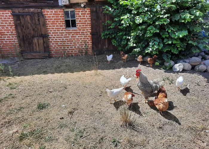 Casa de Férias Am Vilzsee, Mirow Diemitz (Mecklenburgische Seenplatte)