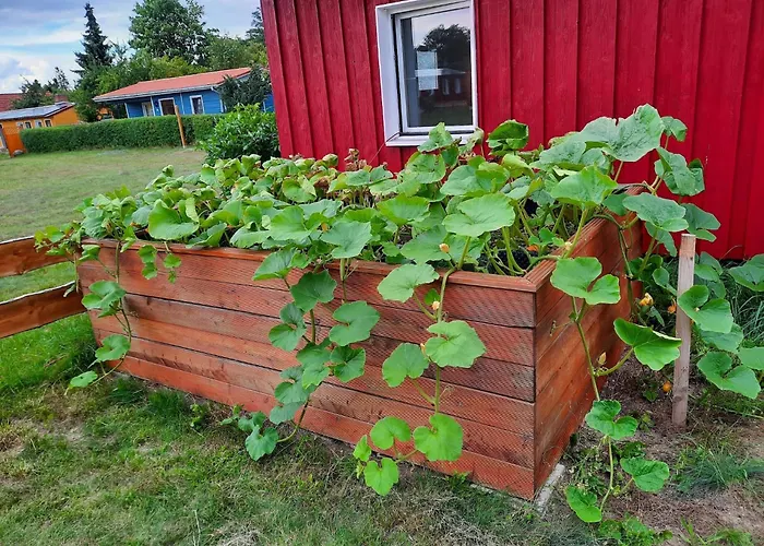 Am Vilzsee, Mirow Diemitz (Mecklenburgische Seenplatte)